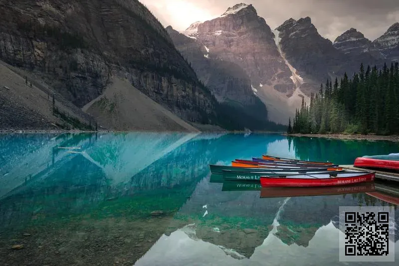 香港格銳特國際貿易有限公司