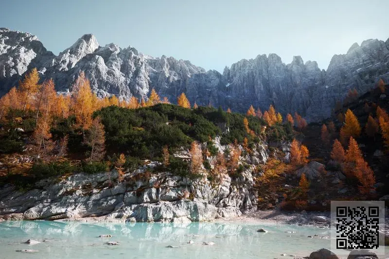 卓達物流有限公司