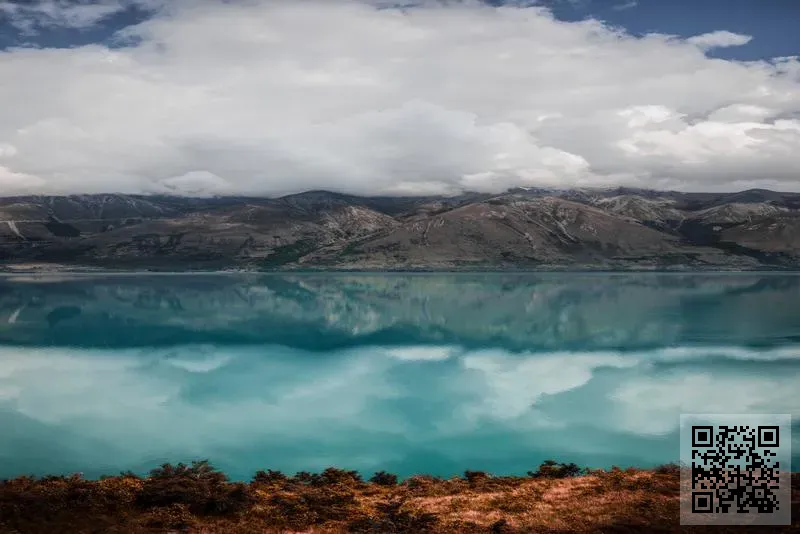 歆瑞發展有限公司