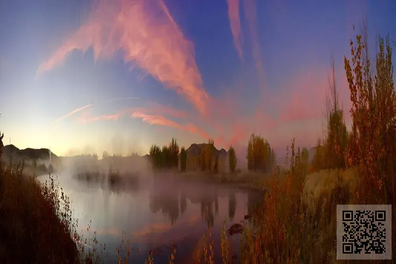 鴻格實業有限公司