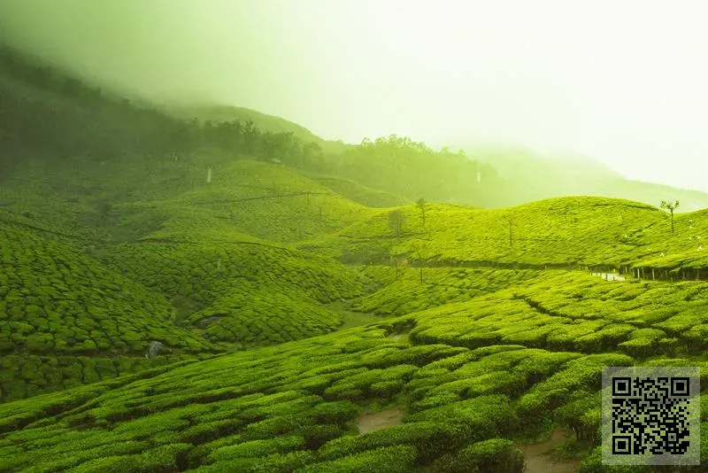 香港天潤泉國際建築設計有限公司