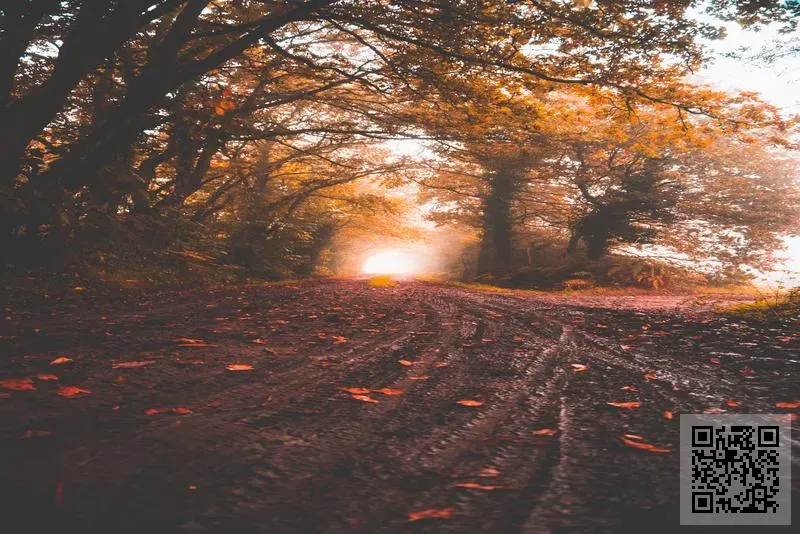 香港嘉勝實業有限公司