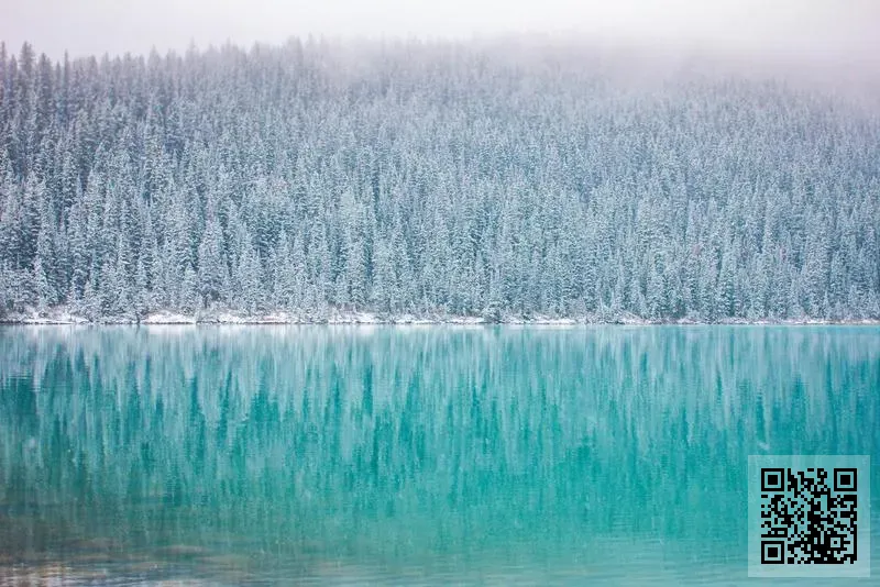 數碼保險經紀有限公司