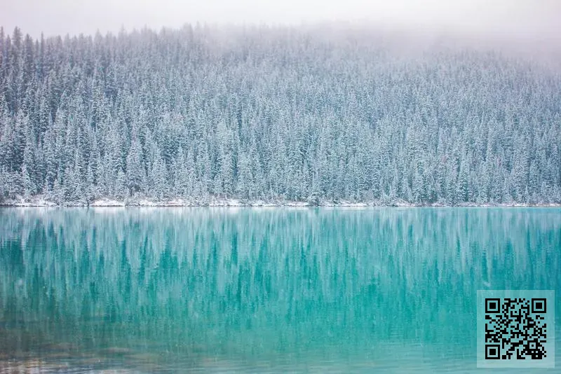 信天翁國際貿易有限公司