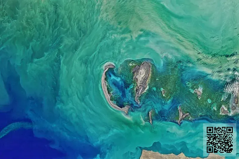 ASIA ROYAL CORPORATION (HK) LIMITED