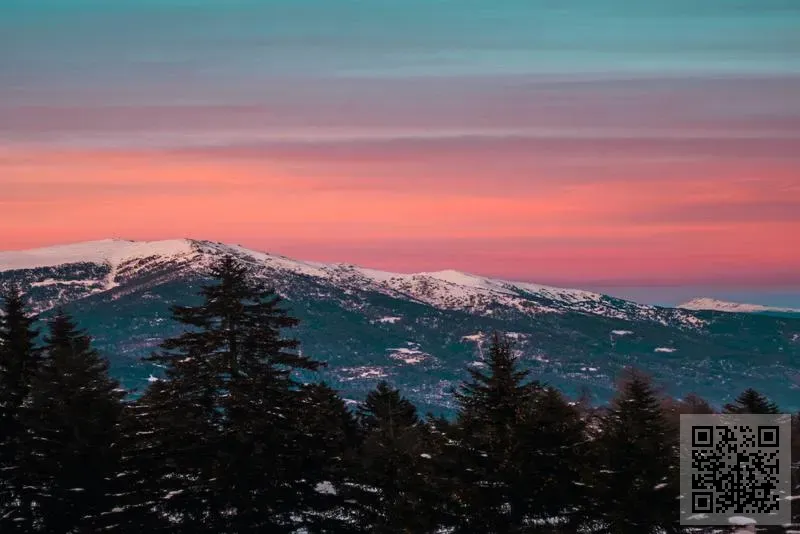 焦點光電科技有限公司