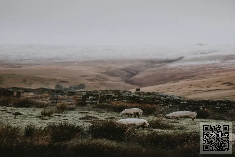 香港智恒翔電子有限公司