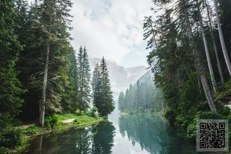 逸象創意有限公司