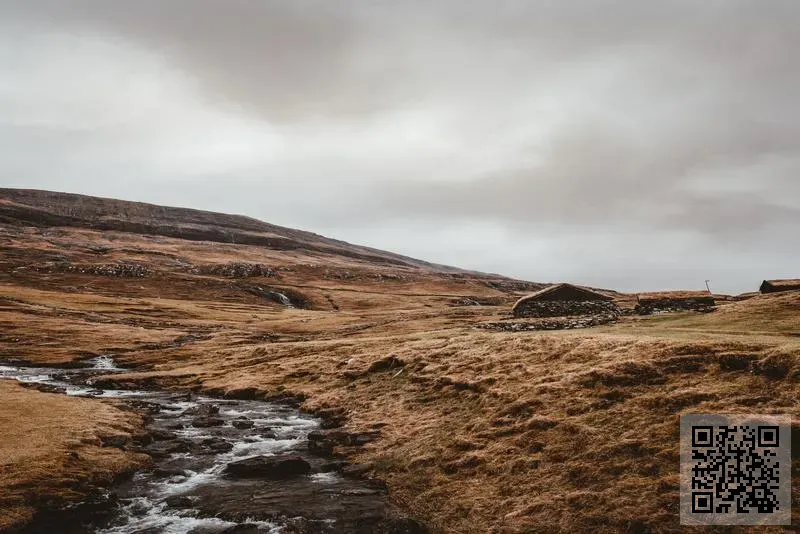 中國斯的納維亞食品有限公司