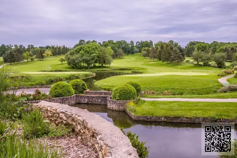 郵之翼(中國)電子商務有限公司