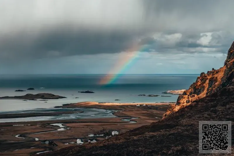 蘿莉美容美體科技(香港)有限公司