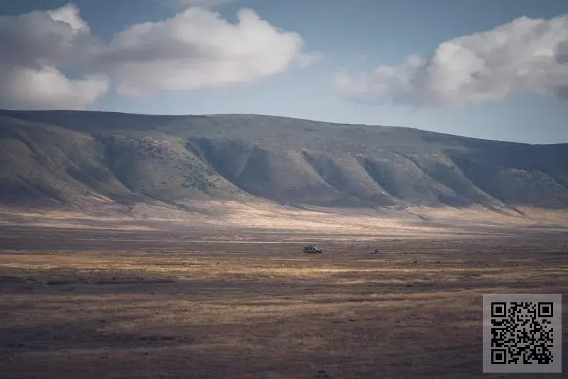 China Media Sports Limited