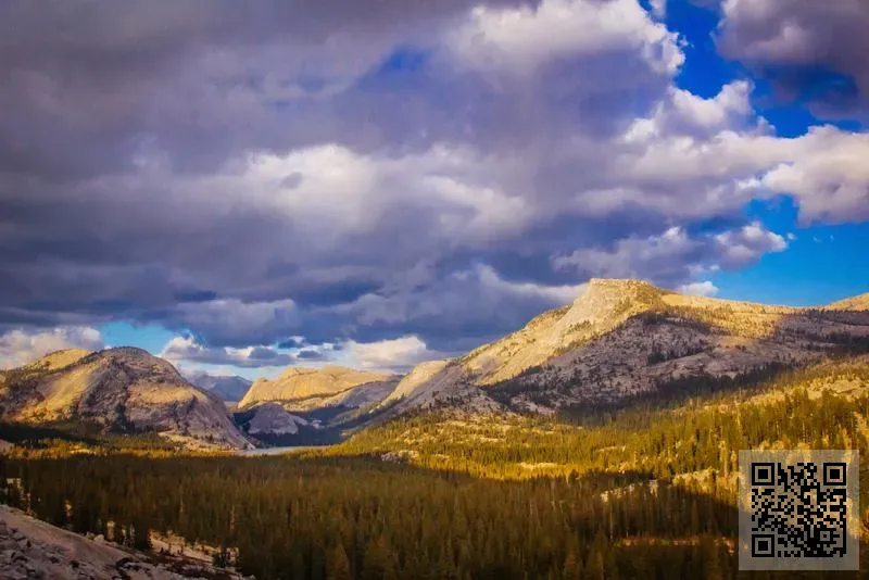 邦克電器有限公司