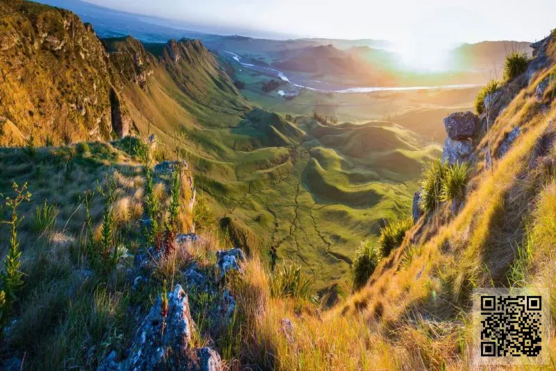 合順國際貿易(香港)有限公司