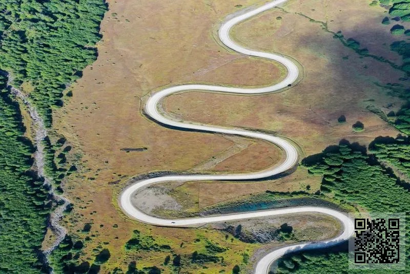 Global Solution Trading Limited