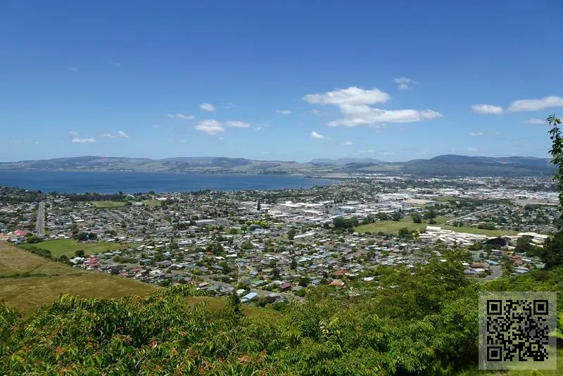 紅紐扣(香港)善循環國際顧問有限公司