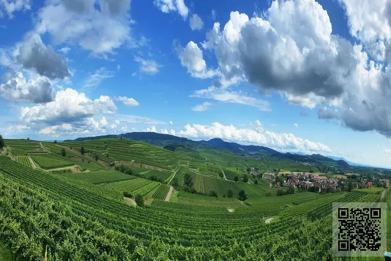 高譽國際控股有限公司