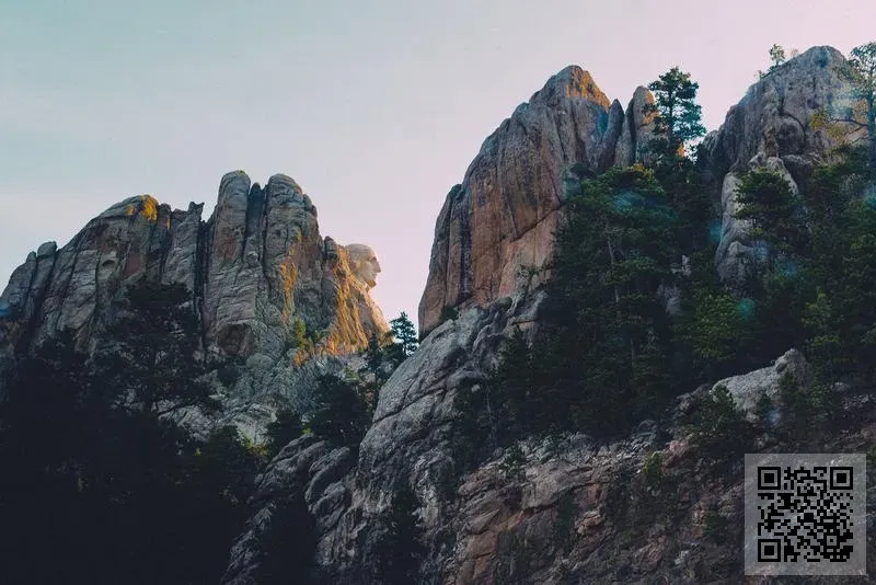 香港黑色貝絲有限公司
