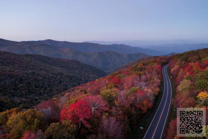 中互球樓地產研發集團有限公司
