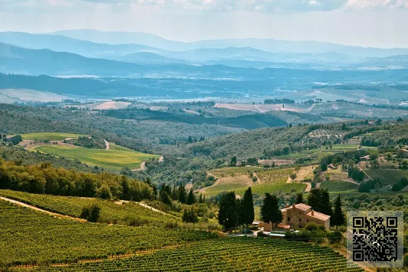 中延科技集團(香港)有限公司