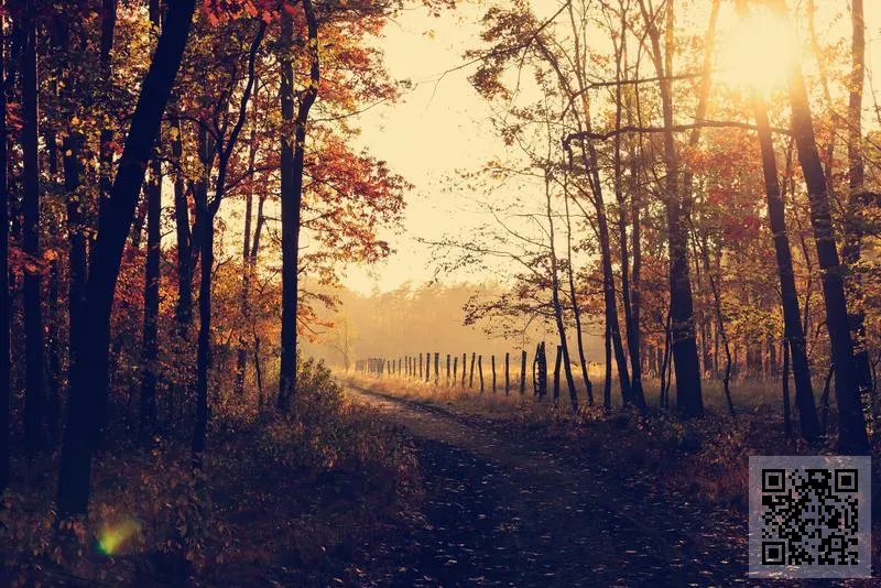 致恒國際有限公司