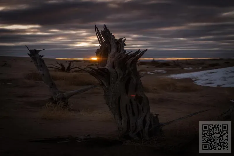 星華(香港)電子有限公司