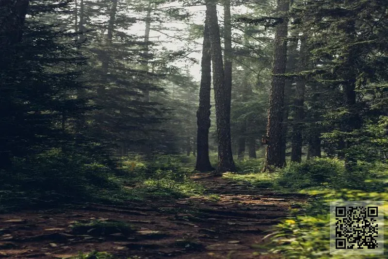 同盛光電科技(香港)有限公司