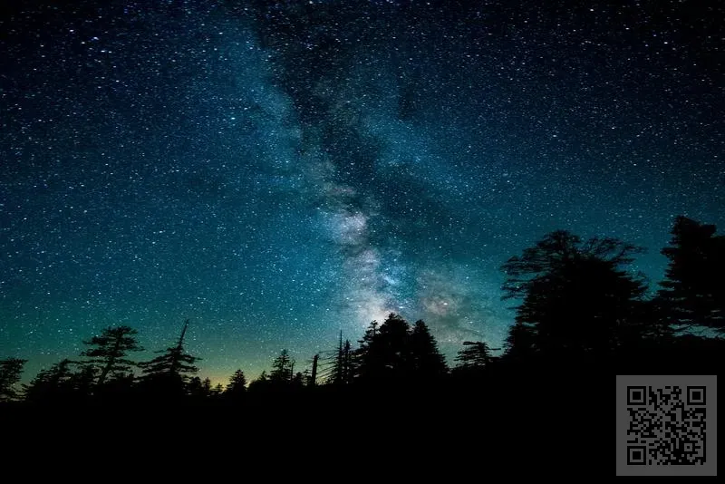 DEO RAINBOW TOUR LIMITED