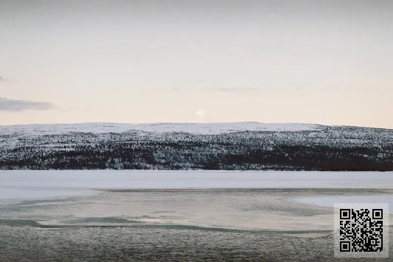 GREENLITE INTERNATIONAL LIMITED