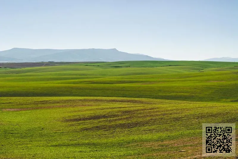 艾瑞(中國)控股有限公司