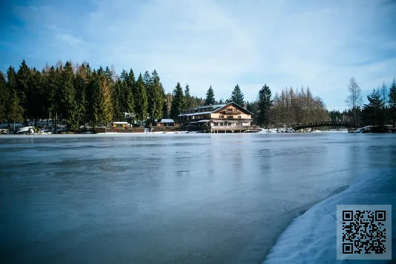 皇者旅遊有限公司