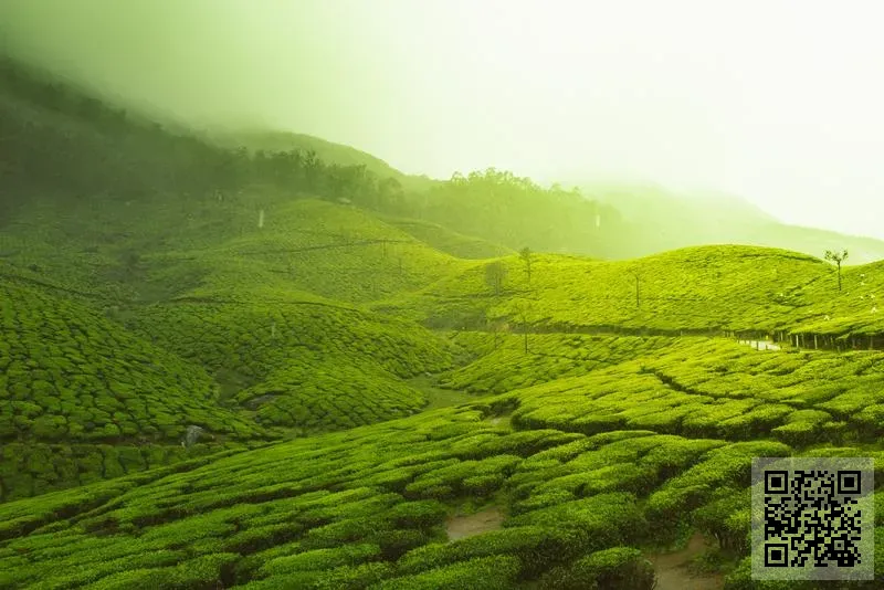 金立資源實業有限公司