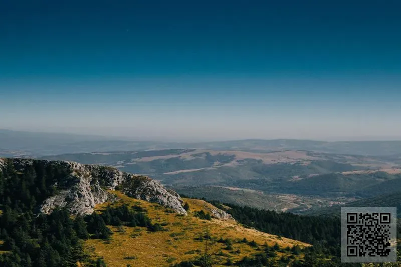 順發凍肉貿易有限公司