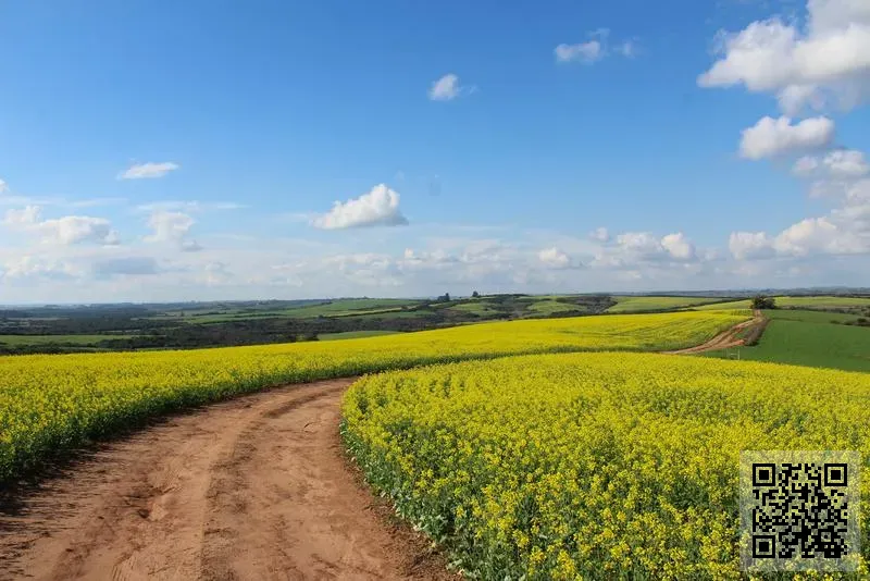 香港咯噔福如愛集團有限公司