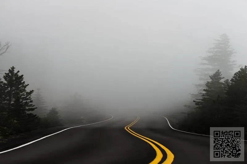 李氏集團國際投資有限公司