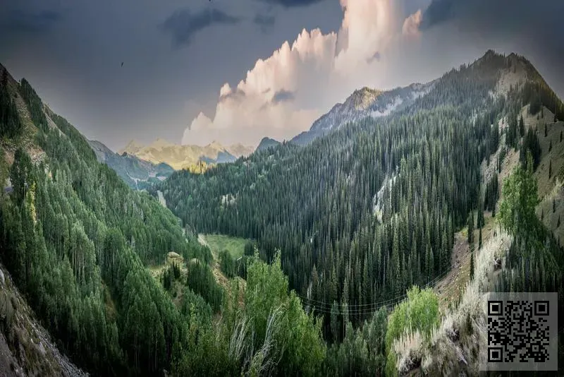 MULLIX LIFESCIENCE CO., LIMITED