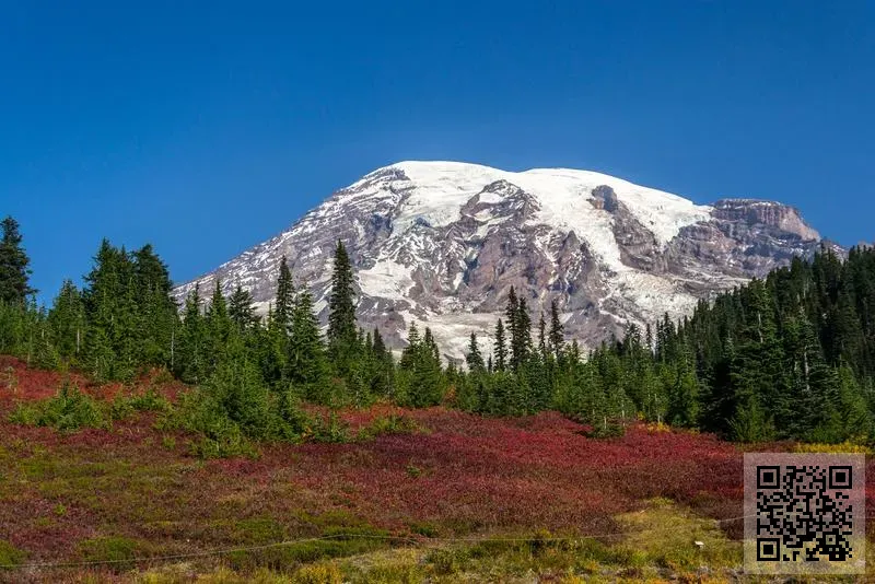 晨遠(香港)國際有限公司