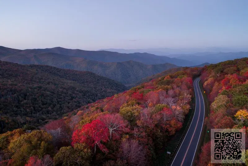 SOLAR DYNASTY LIMITED