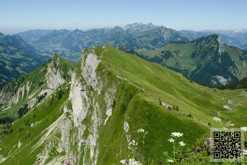 碧陸斯香港有限公司
