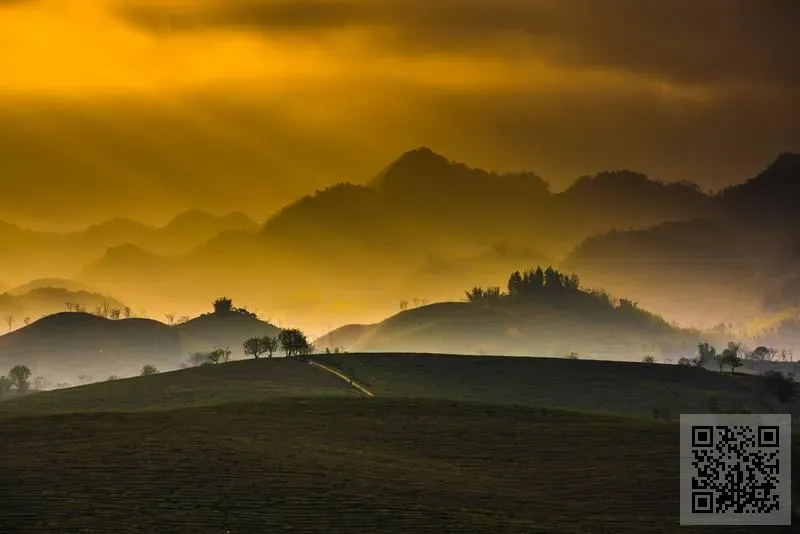 MANOLOV IMPORT AND EXPORT CO., LIMITED