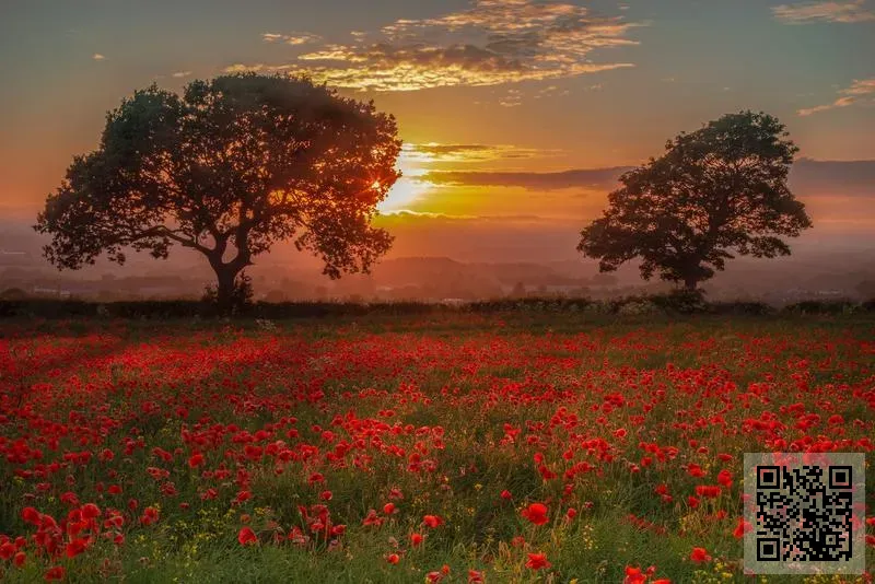 國匯金融控股(香港)有限公司