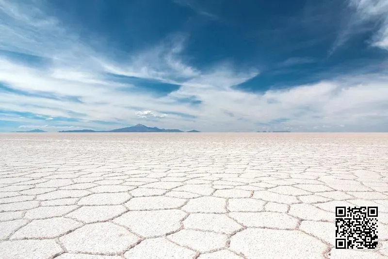 Tamora Holdings Limited