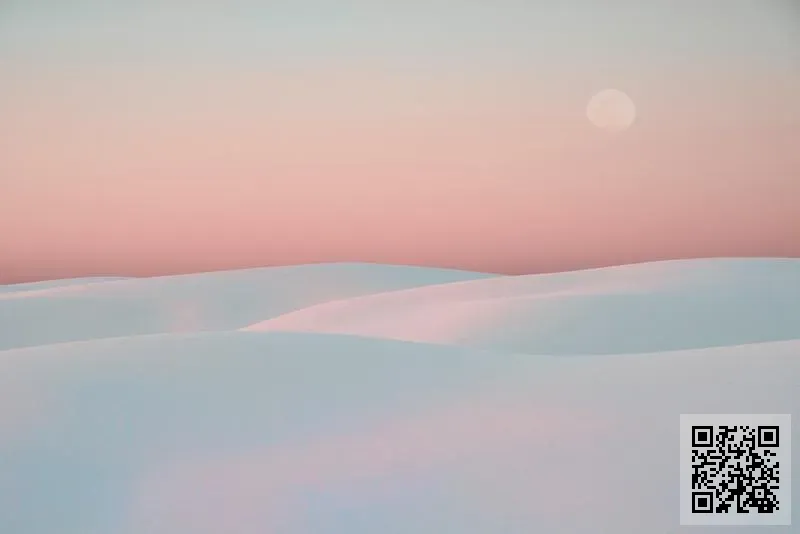 燦星進出口有限公司