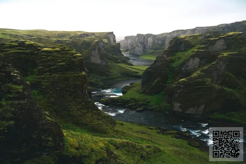 LEFIN STEEL HONGKONG CO., LIMITED