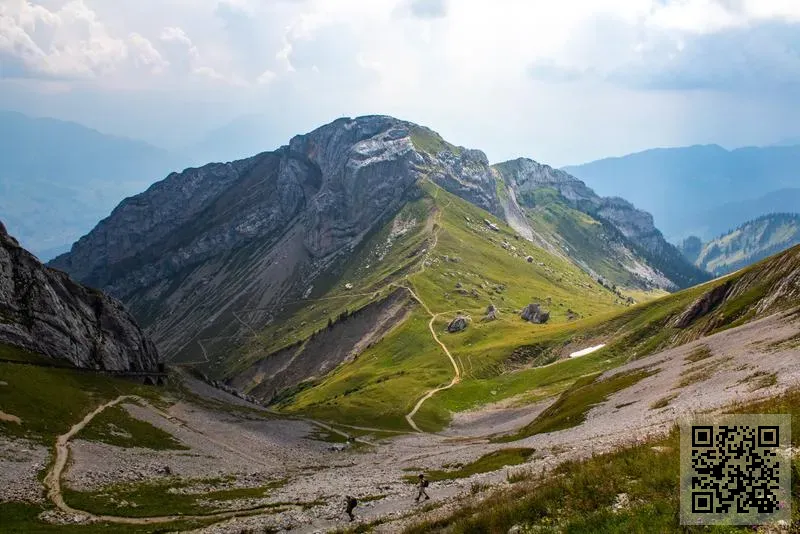 香港金豹工具(國際)有限公司