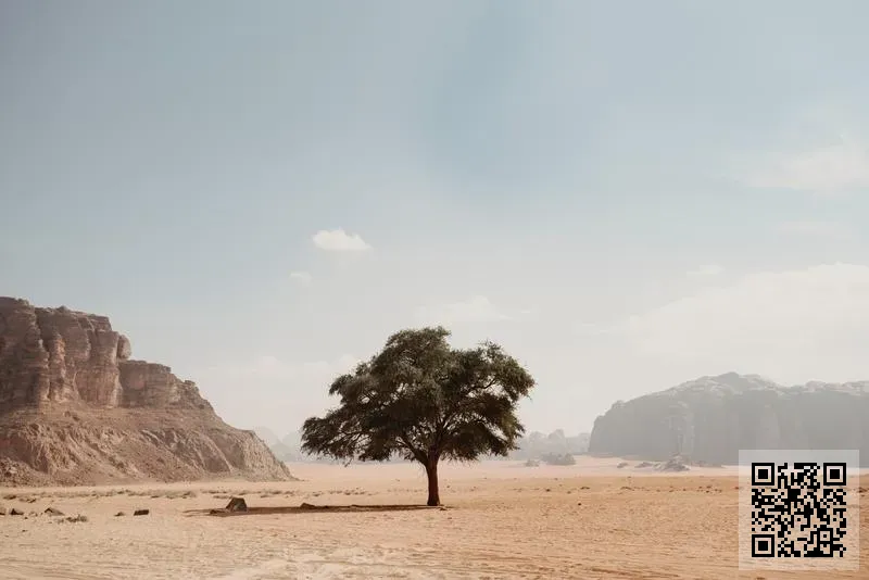 名慧國際有限公司