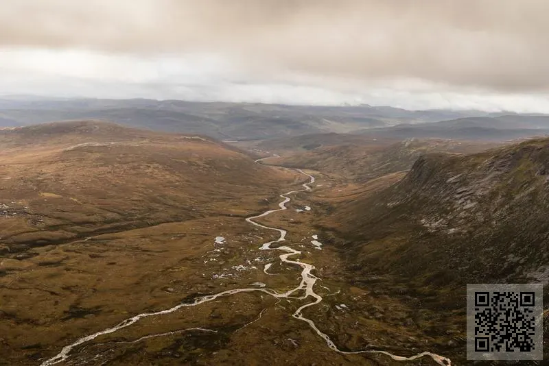 香港卡塔爾石油國際有限公司