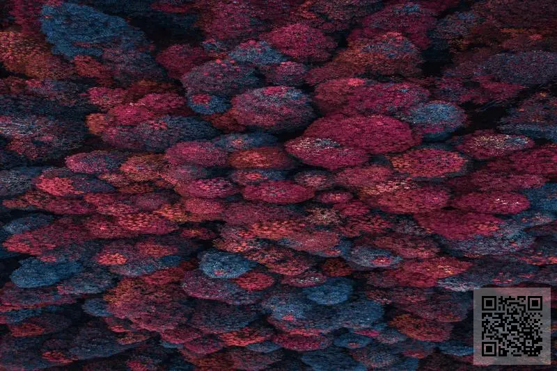 Sea And Mountain Co., Limited