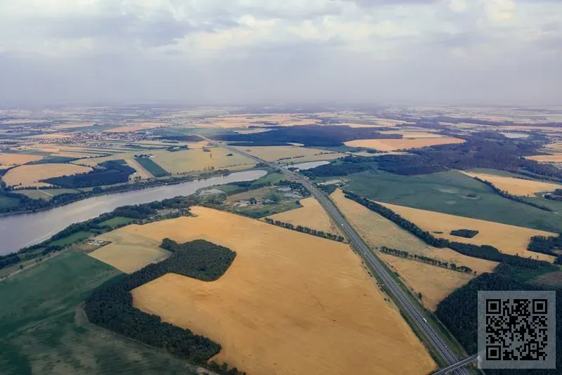 Transadvisors Limited