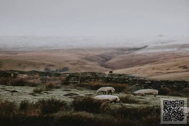 香港喜龍達貿易有限公司